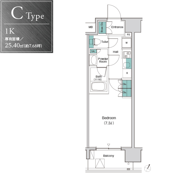 C Type